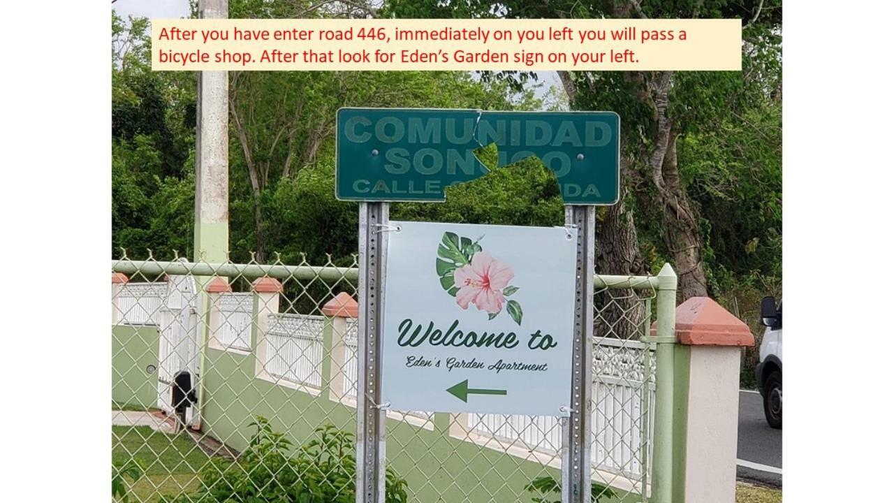 Eden'S Garden Apartamento Isabela Exterior foto